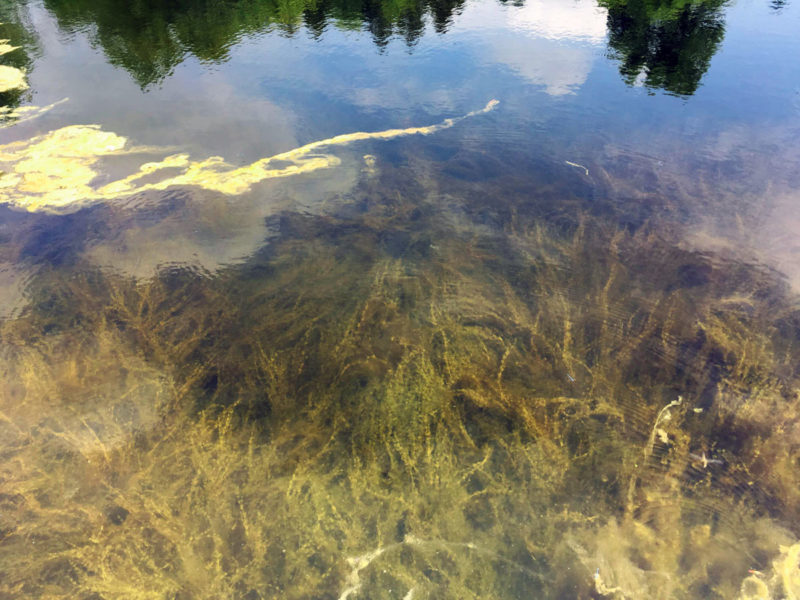 Algae Removal & Aeration System Installation - Kleinburg - Hydrosphere ...