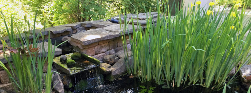 Pond Plant Depth Zones - Hydrosphere Water Gardens